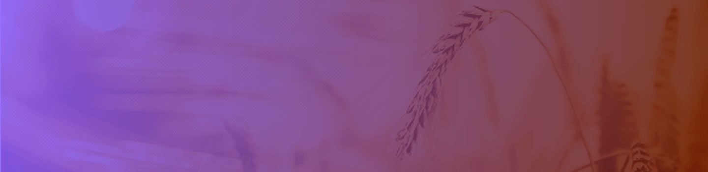 banner-new1